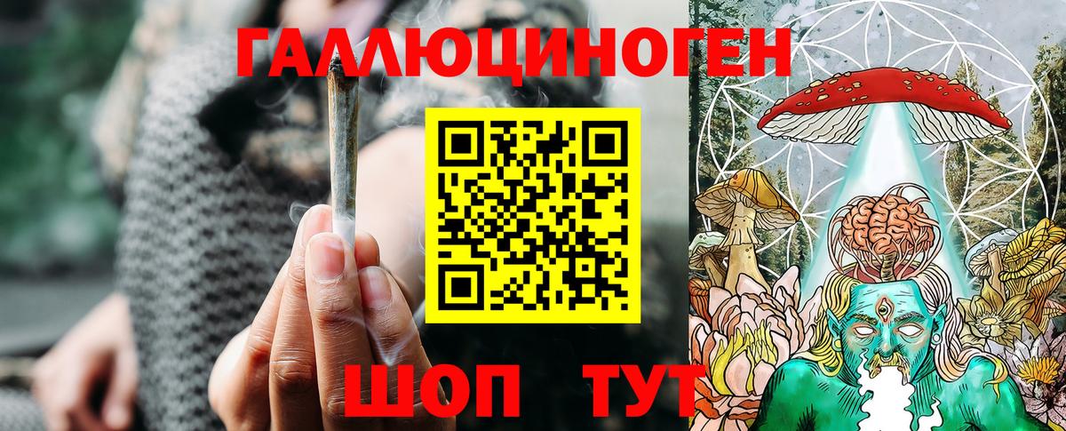 Псилоцибиновые грибы Psilocybine cubensis Губаха